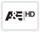 Channel logo for A&E HD
